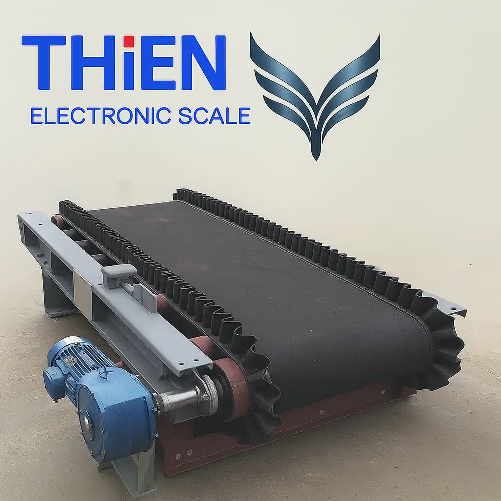 can-bang-tai-500kg-h-canthieny