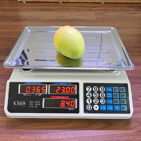 can-dien-tu-tieu-ly-30kg-canthieny
