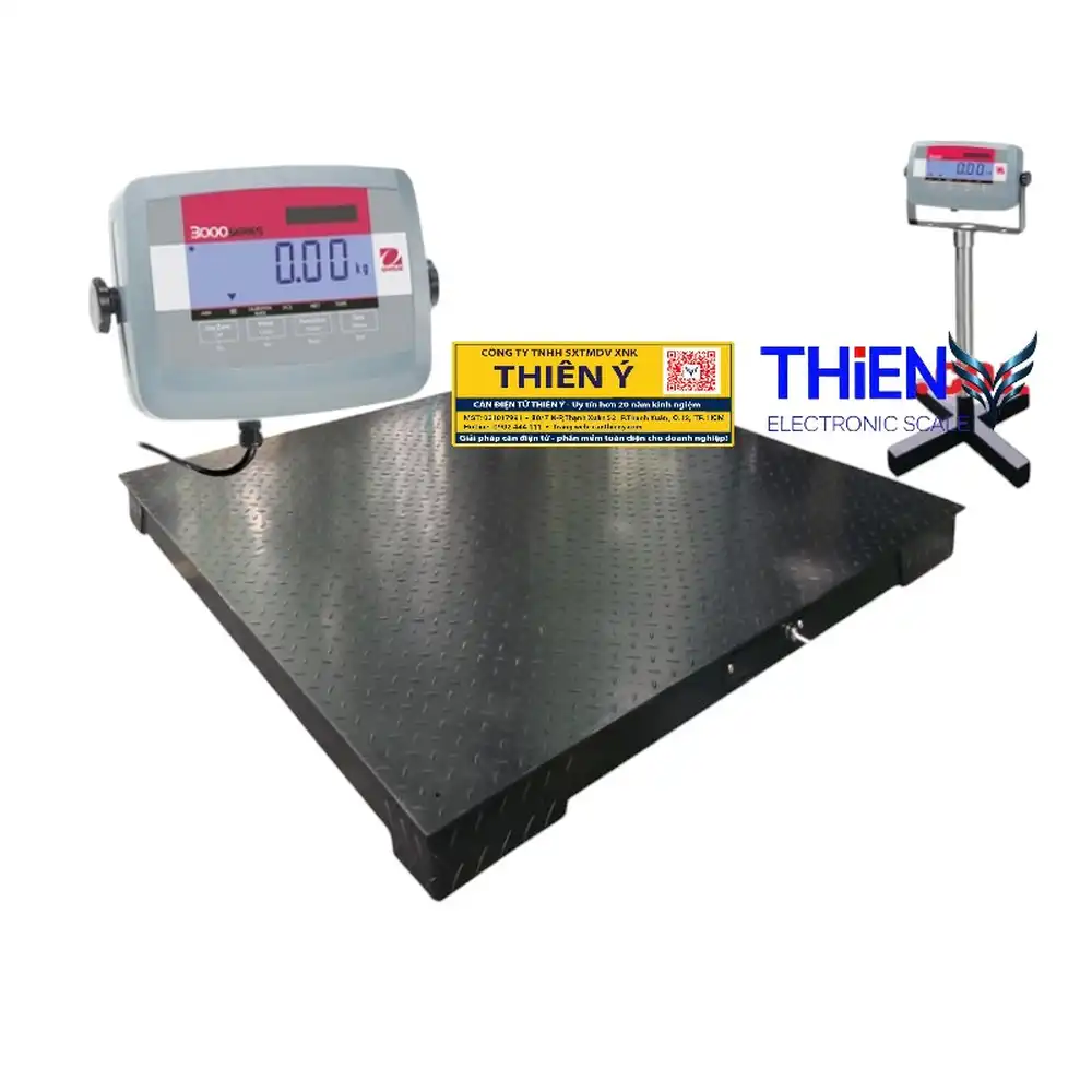 can-thung-hang-roi-van-chuyen-bang-tau-lua-canthieny