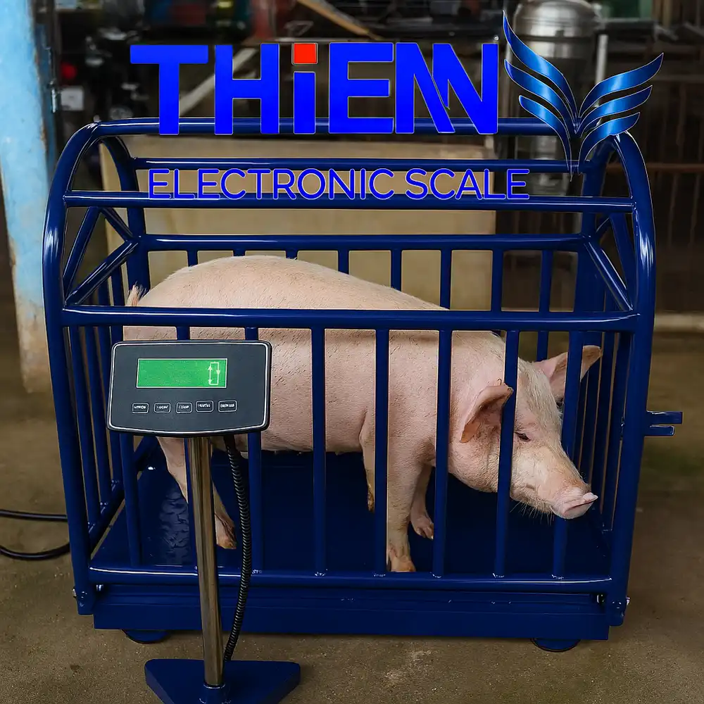 can-dien-tu-can-heo-thit-canthieny