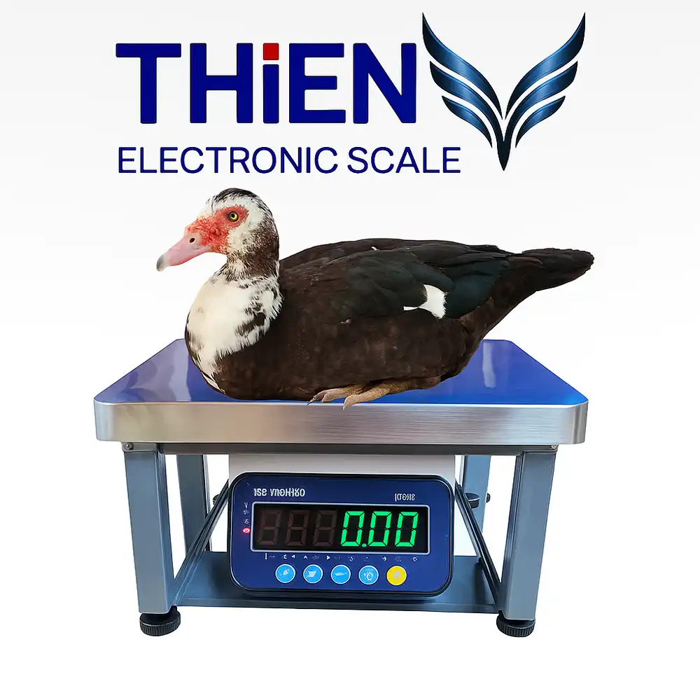 can-dien-tu-can-ngan-canthieny