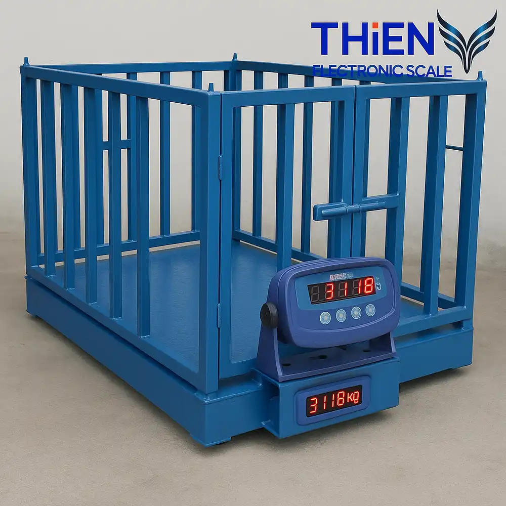 can-dong-vat-chat-luong-cao-canthieny