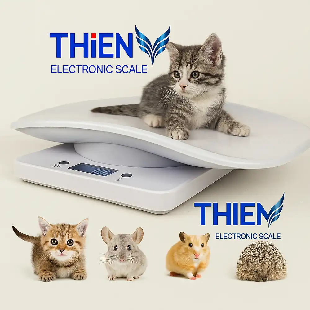 can-dong-vat-cho-xe-thu-y-luu-dong-canthieny