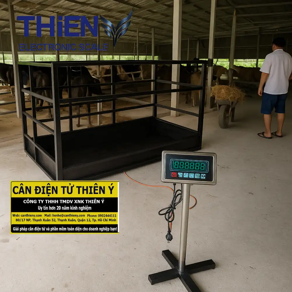 can-dong-vat-lap-co-dinh-san-canthieny