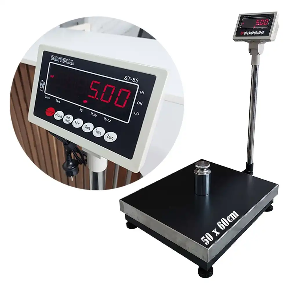 can-dong-vat-mat-son-tinh-dien-canthieny