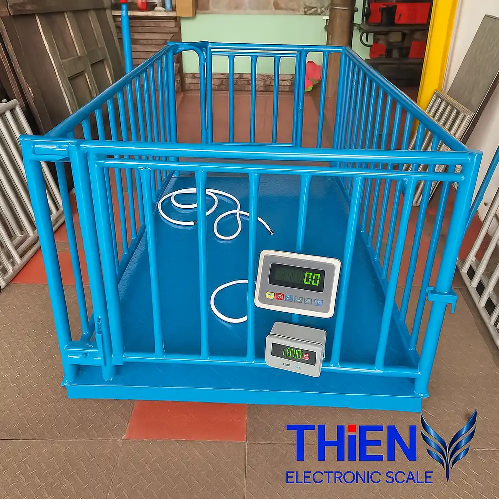 can-dong-vat-ngoai-troi-canthieny