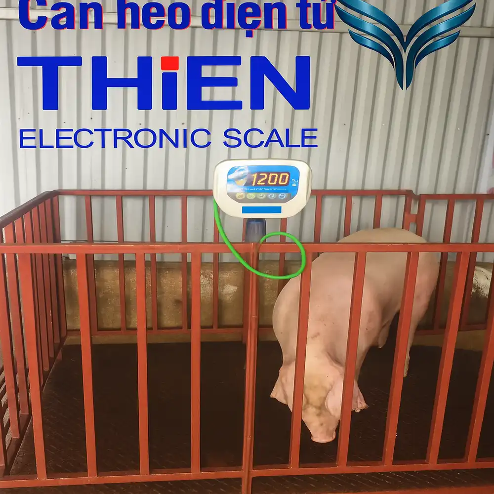 can-dong-vat-trong-chuong-trai-canthieny