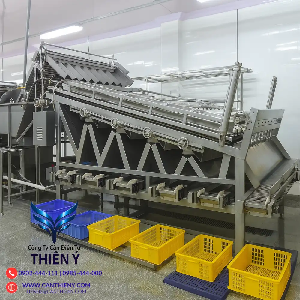 can-phan-co-cho-nha-may-che-bien-thuc-pham-canthieny