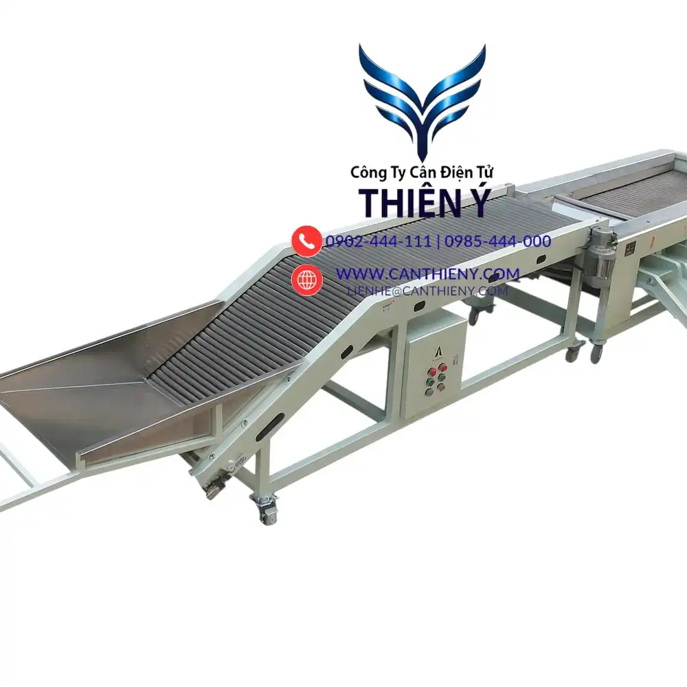 can-phan-co-san-pham-theo-kich-thuoc-canthieny