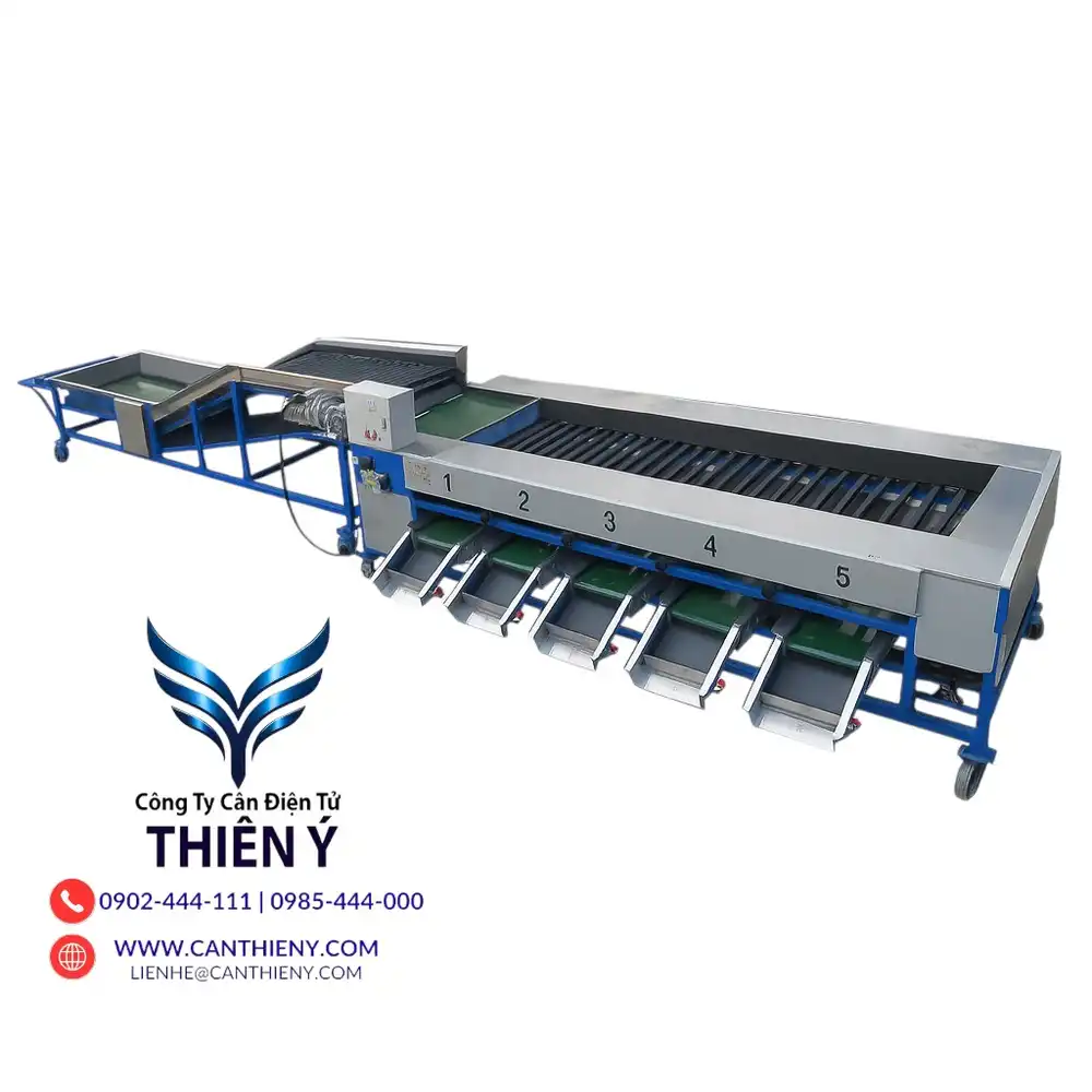 can-phan-co-trai-cay-xuat-khau-canthieny