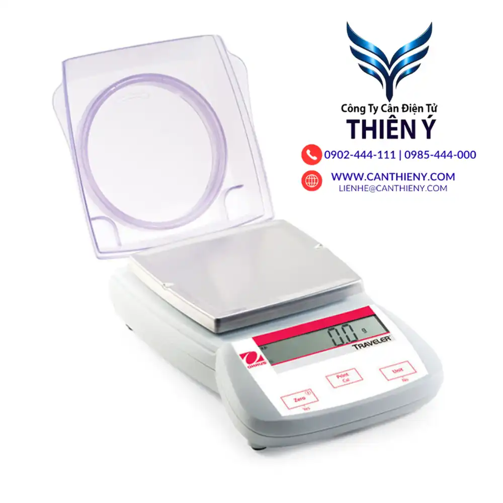 can-phan-tich-chinh-hang-canthieny