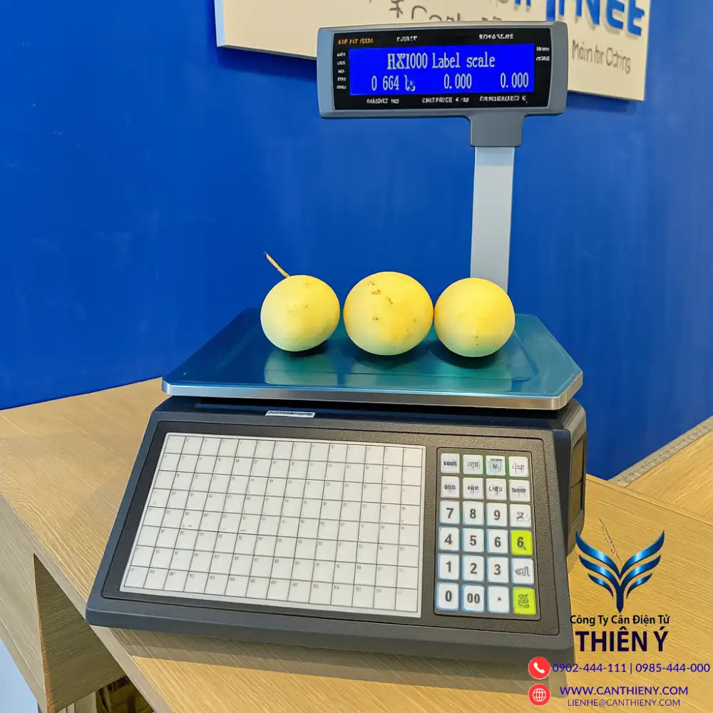 can-sieu-thi-co-cong-lan-wifi-canthieny