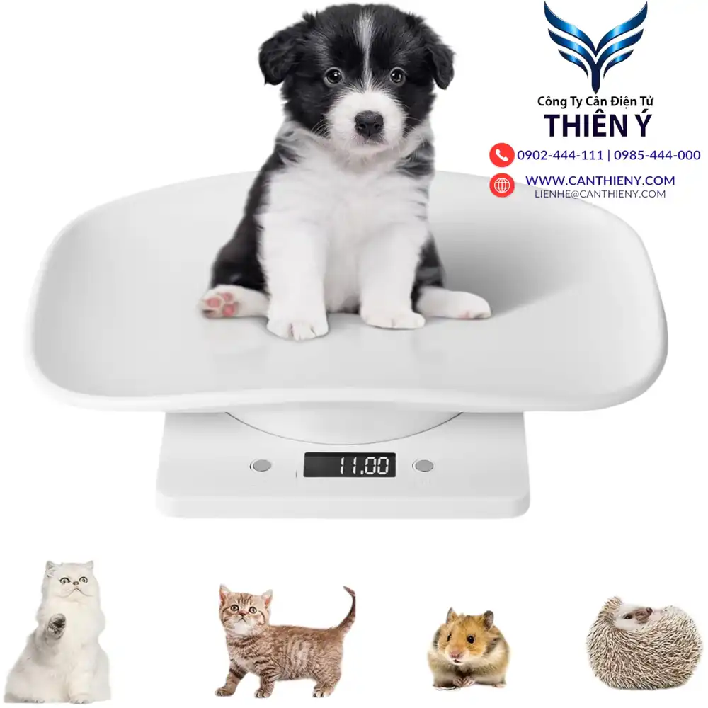 can-dien-tu-can-cho-30kg-canthieny