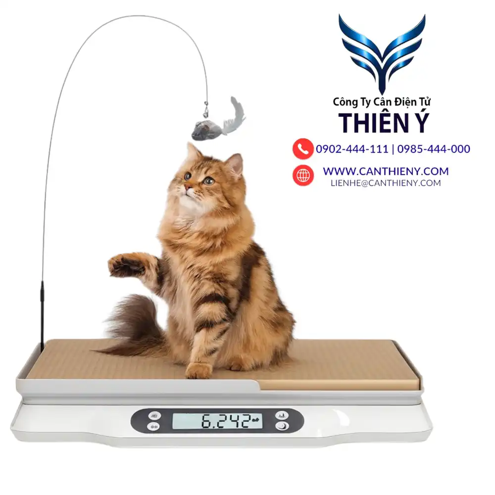 can-dien-tu-can-meo-30kg-canthieny