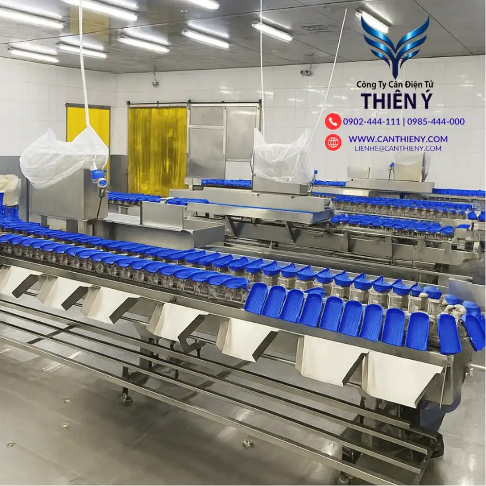 can-dien-tu-phan-co-chinh-hang-canthieny