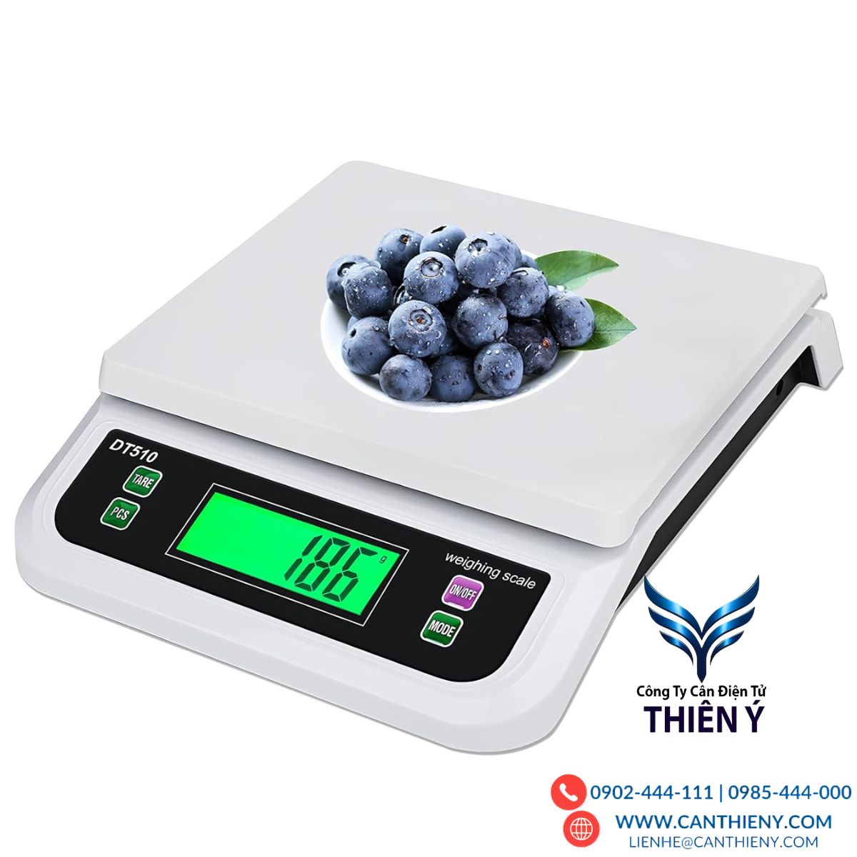 Cân điện tử vỏ nhựa ABS 30kg – Nhẹ nhàng, bền bỉ, giá cả phải chăng