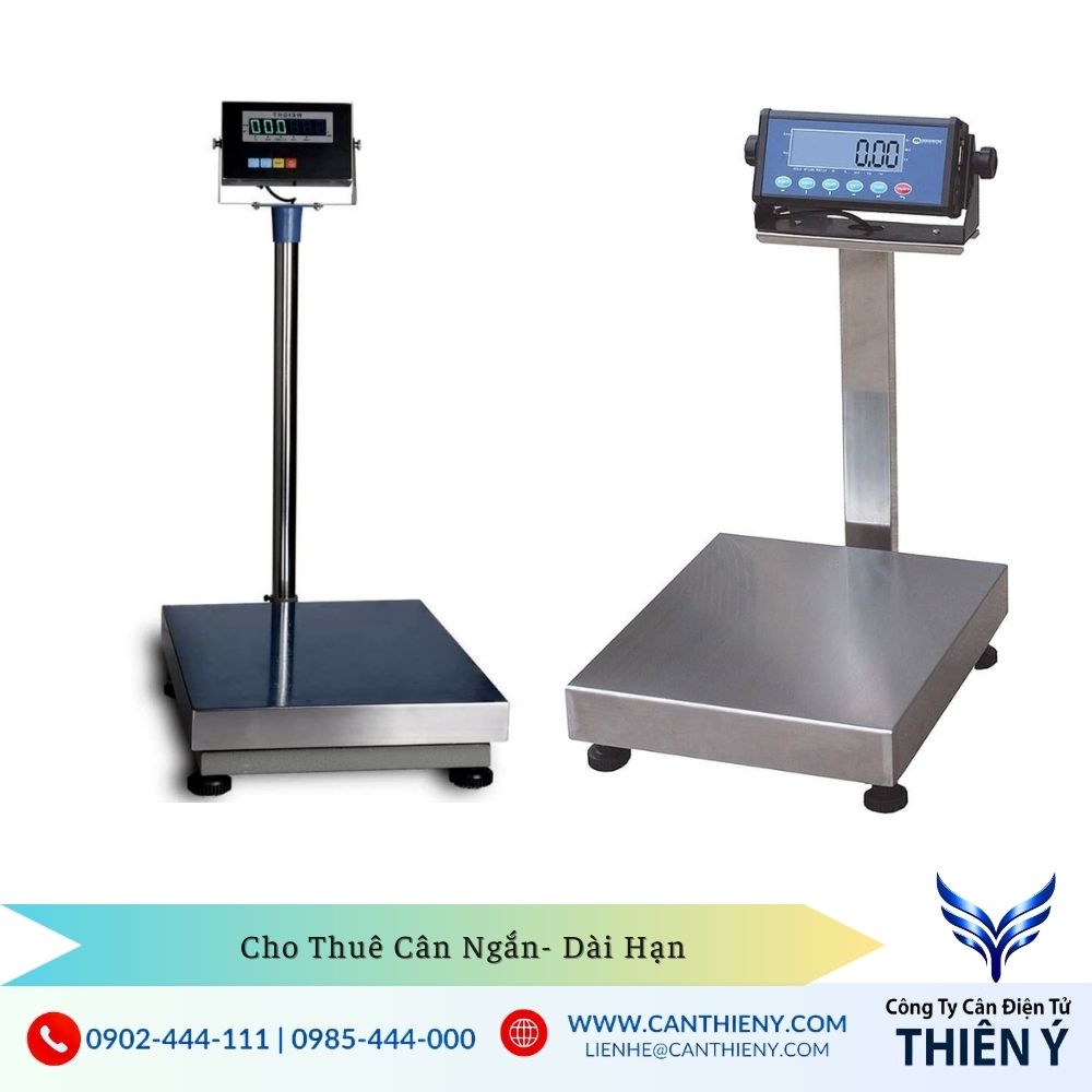 cho thuê cân bàn điện tử dài hạn Thiên Ý