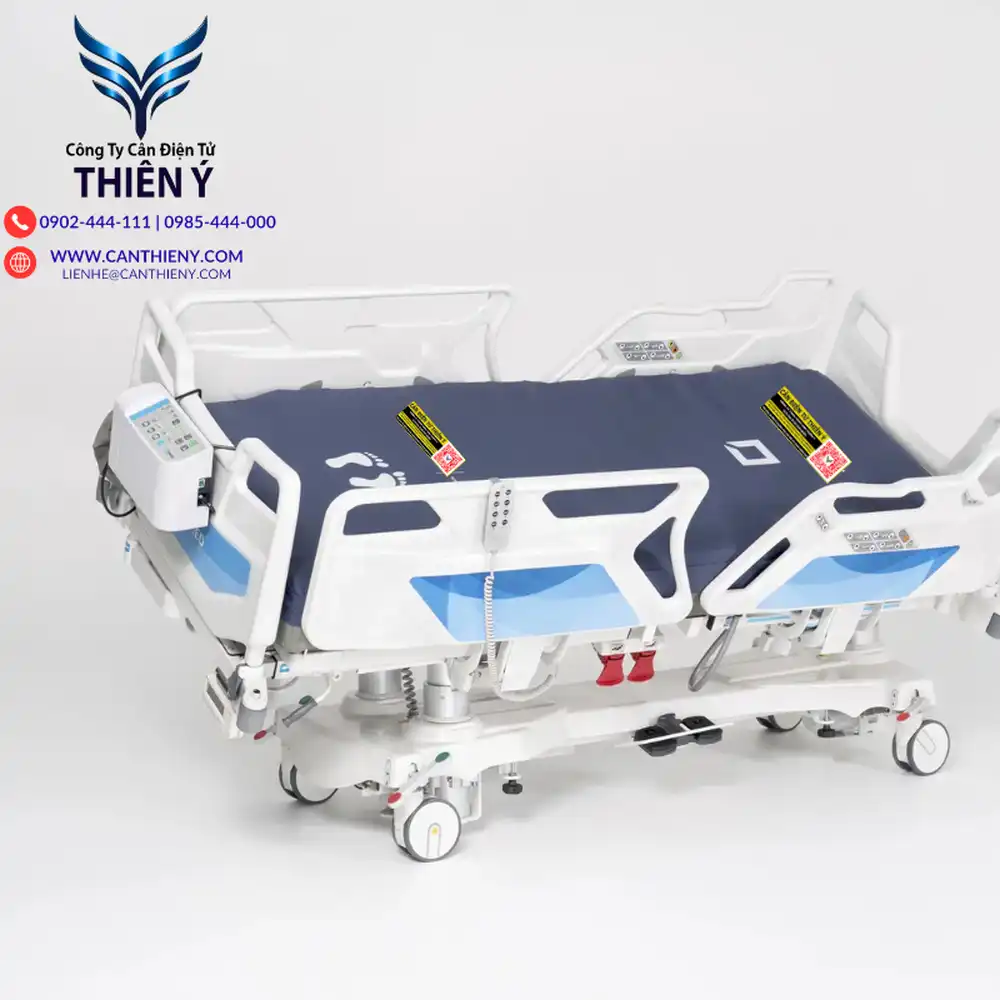 can-giuong-benh-dien-tu-xuat-excel-pdf-canthieny