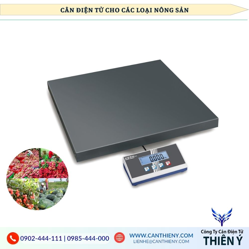 Cân Nông Sản Điện Tử Cho Trái Cây Xuất Khẩu