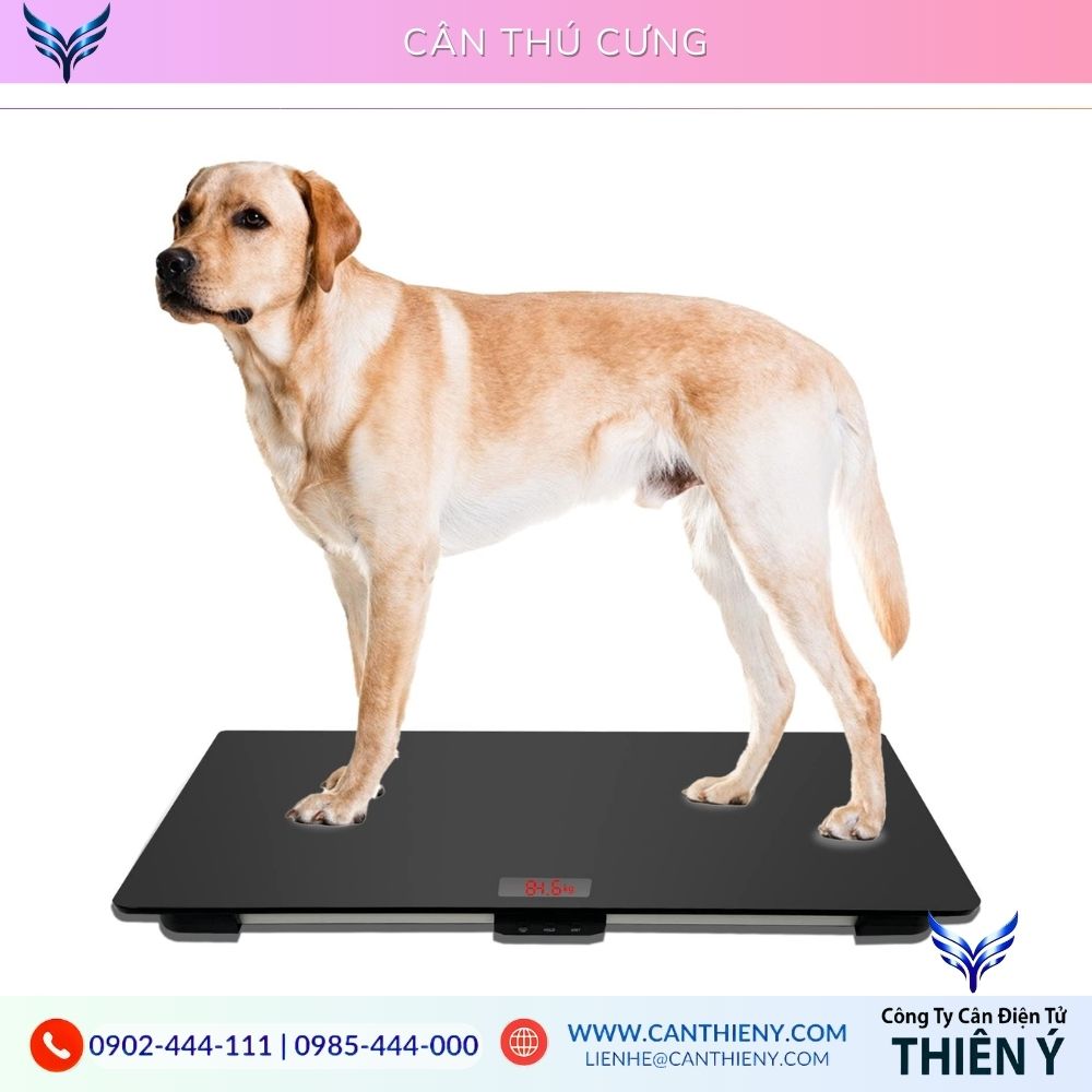 Cân Thú Cưng Điện Tử PKTY cho phòng khám thú y, chính hãng, chất lượng cao, giá rẻ, bảo hành 12 tháng