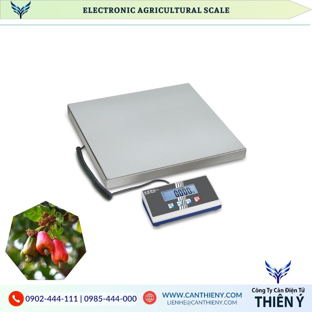 Cashew Nut Scale - Genuine, High Quality, 12-Month Warranty.