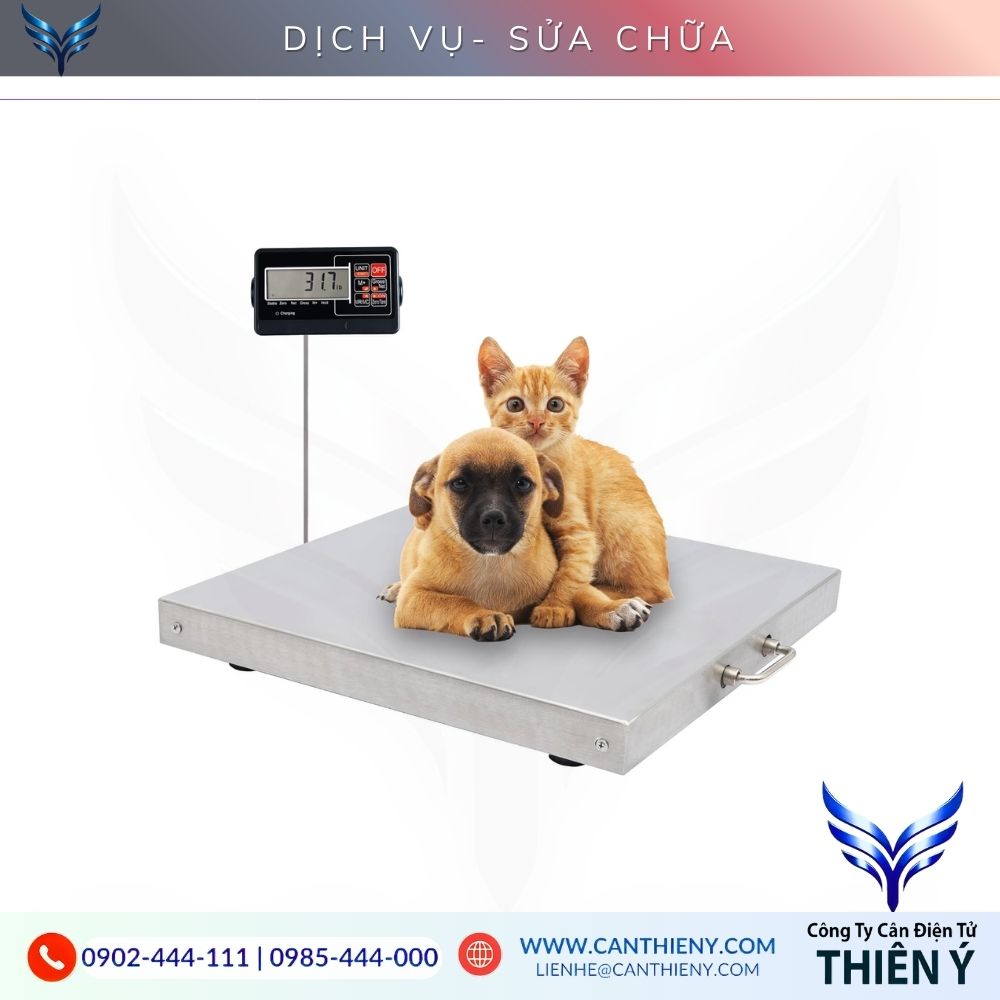 Hình ảnh hỗ trợ kỹ thuật 24/7 cân thú cưng điện tử tận nơi