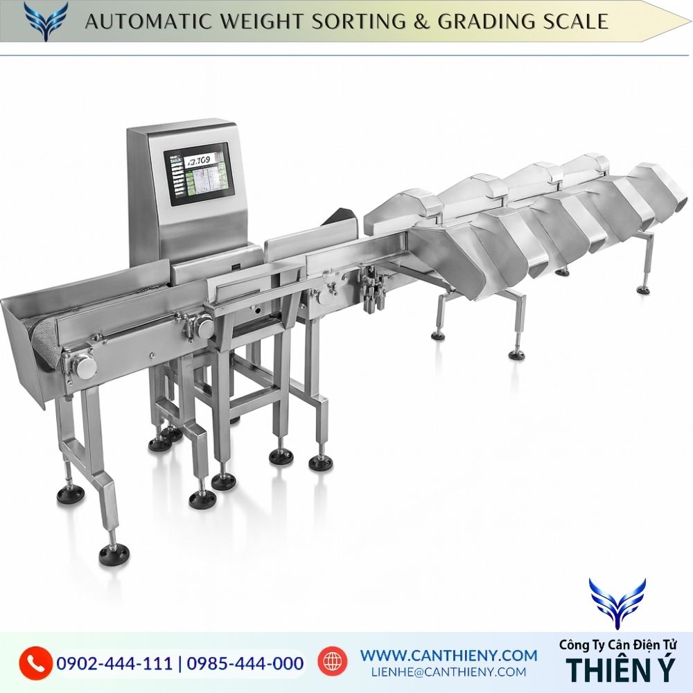 Vegetable Sorting Scale - Accurate & Durable | 12-Month Warranty