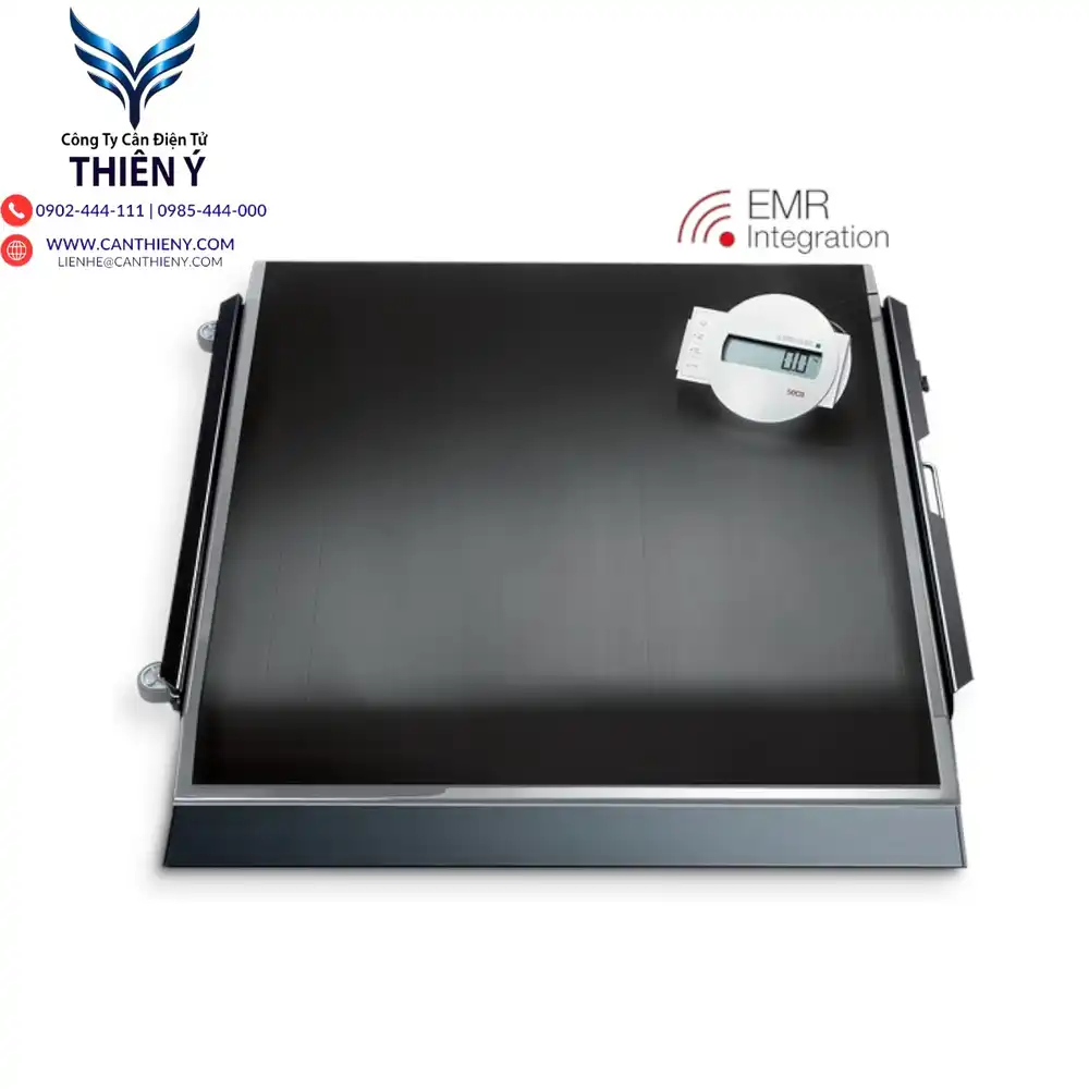 wheelchair-scale-canthieny