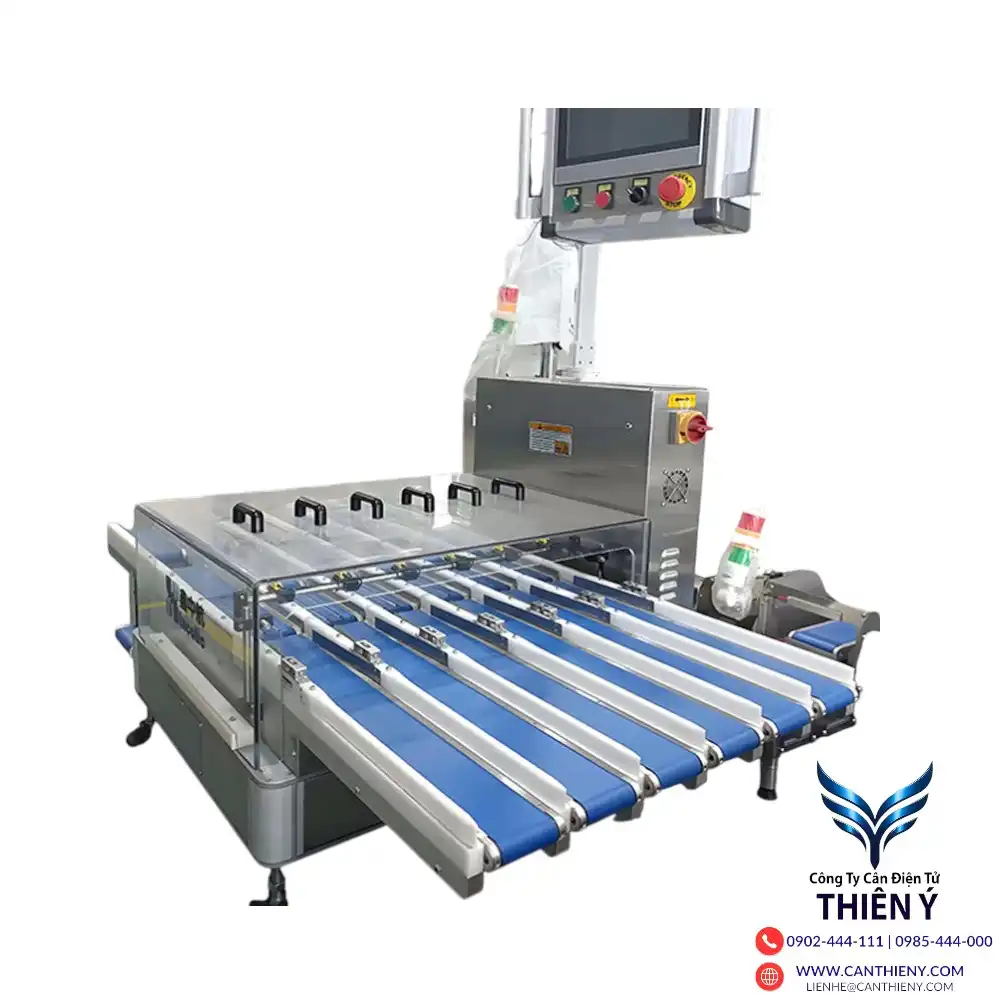 can-dien-tu-in-phieu-cho-nganh-thuy-san-dong-lanh-canthieny