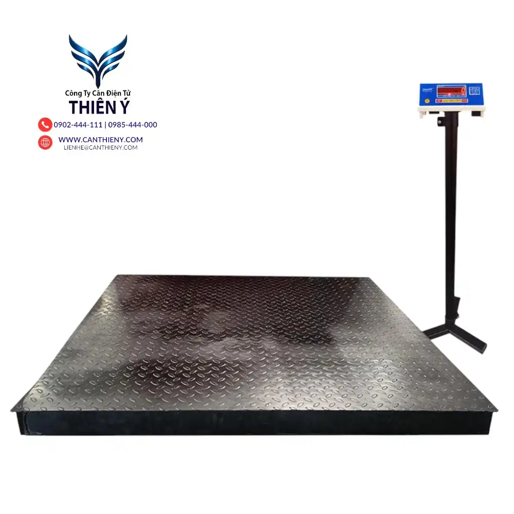 can-dien-tu-khung-thep-10-tan-canthieny