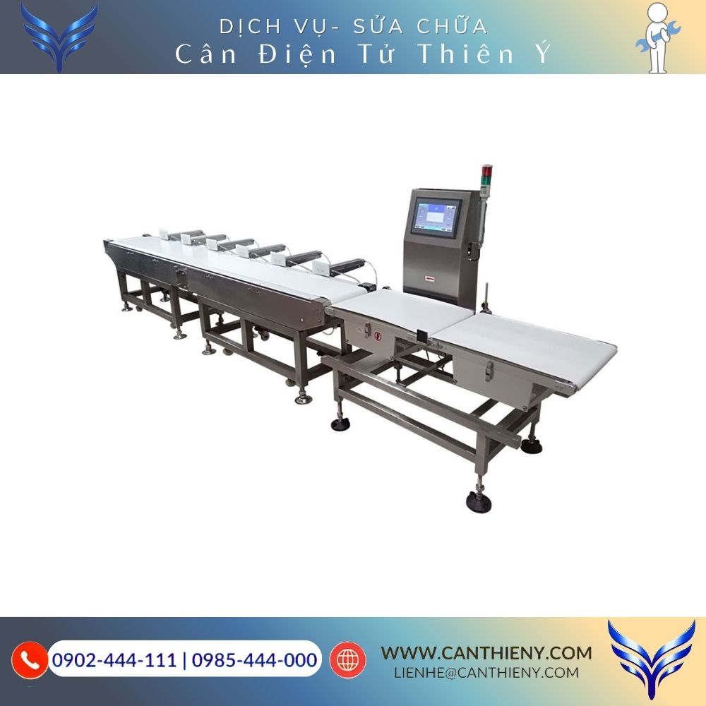Dịch vụ hiệu chuẩn cân phân cỡ điện tử chuyên nghiệp