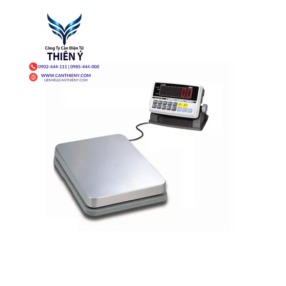 can-dien-tu-40x50-loadcell-chong-chay-no-zone-2-tai-ha-noi-canthieny
