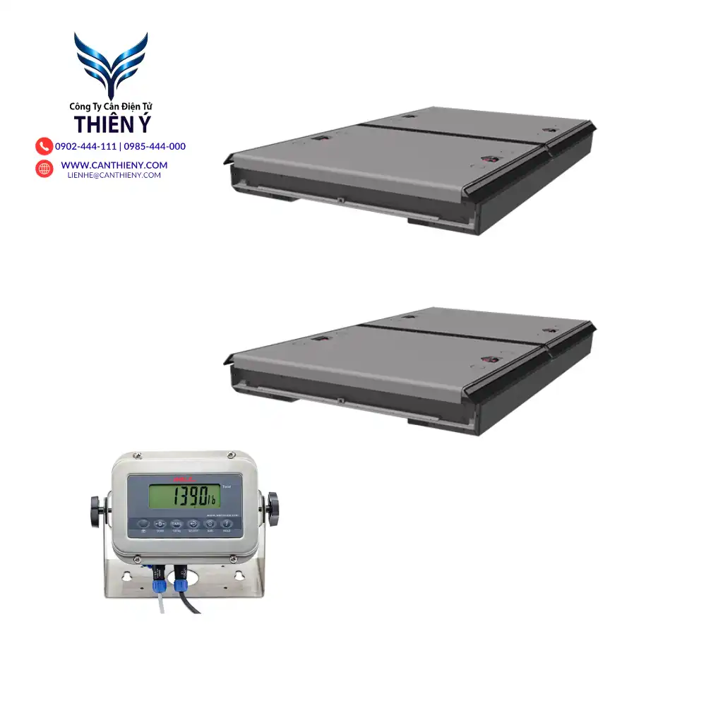 indicator-walz-wireless-cloud-weighing-canthieny