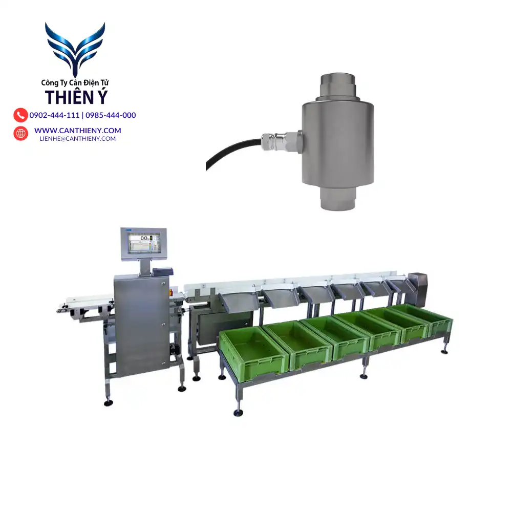 loadcell-flintec-rc3-stainless-chong-an-mon-nganh-muoi-thuy-san-canthieny