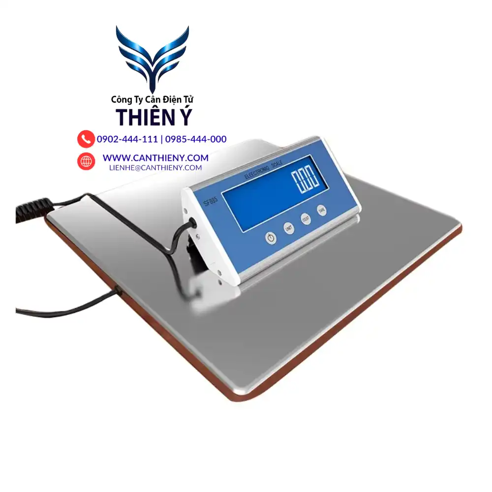 can-cong-nghiep-100kg-do-chinh-xac-cao-canthieny