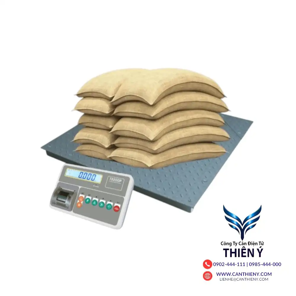 can-dien-tu-tai-tp-ho-chi-minh-canthieny