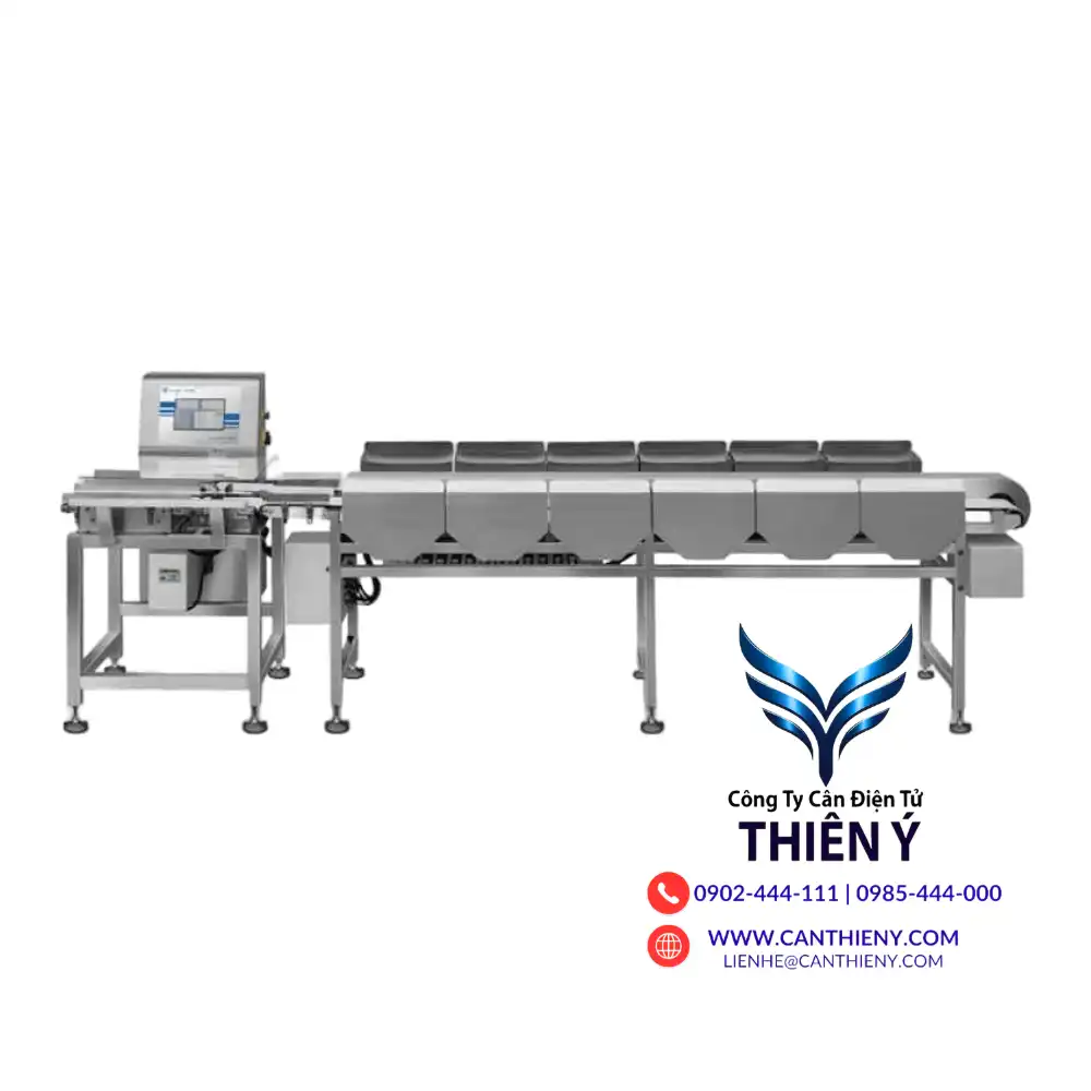 can-dien-tu-thuy-san-dong-lanh-ca-tra-kien-giang-300kg-canthieny