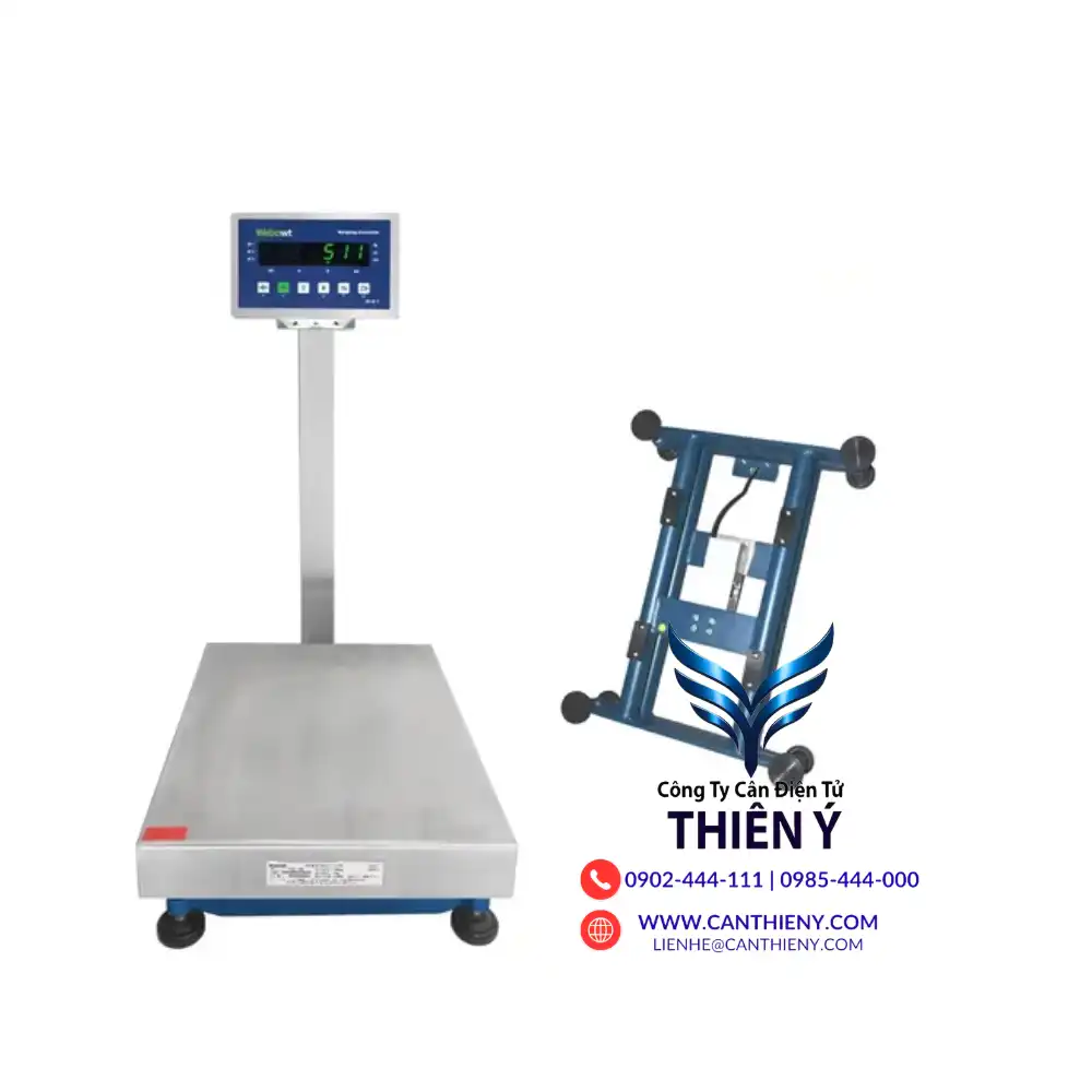 can-dien-tu-thuy-san-dong-lanh-ca-tra-soc-trang-60kg-canthieny
