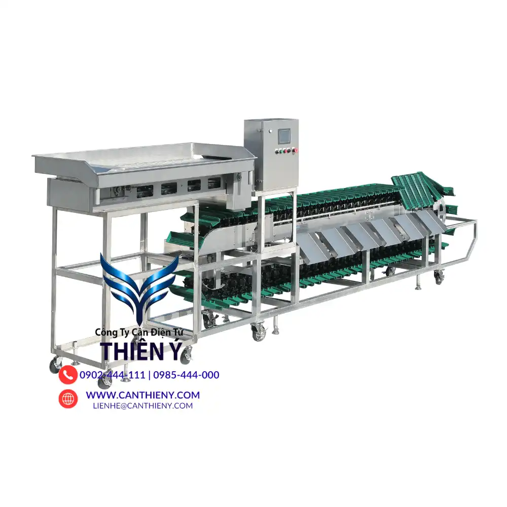 can-dien-tu-thuy-san-dong-lanh-ca-tra-tien-giang-300kg-canthieny