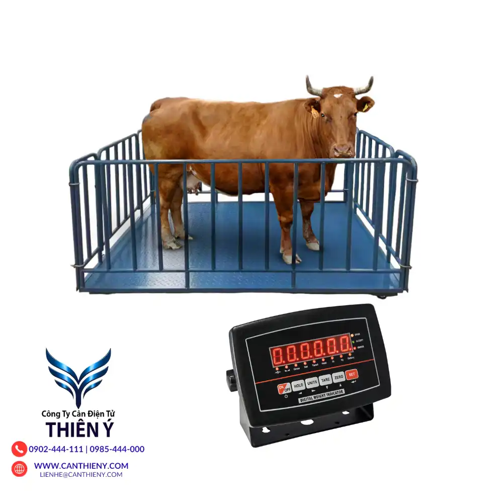 can-dong-vat-chinh-hang-tai-an-giang-canthieny