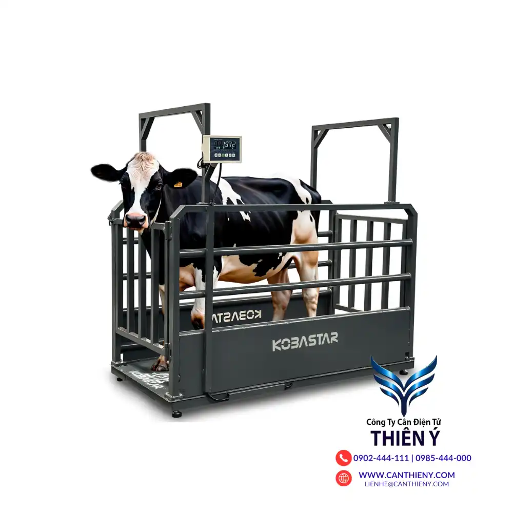 can-dong-vat-chinh-hang-tai-bac-lieu-canthieny