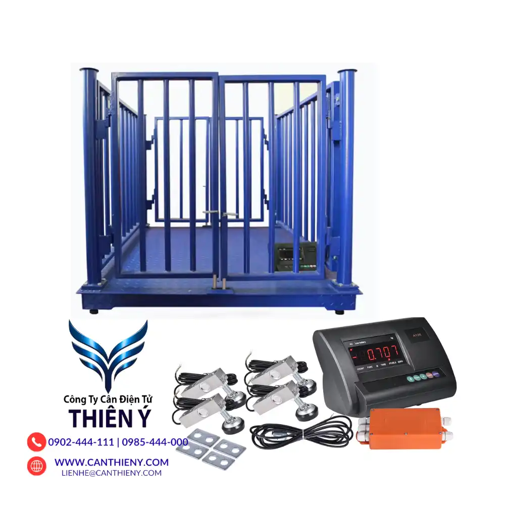 can-dong-vat-chinh-hang-tai-binh-dinh-canthieny