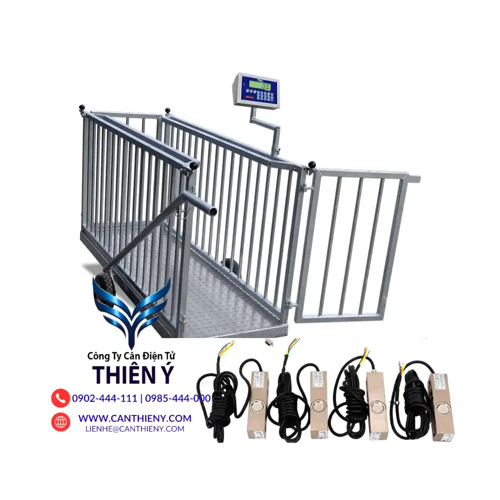 can-dong-vat-chinh-hang-tai-dien-bien-canthieny