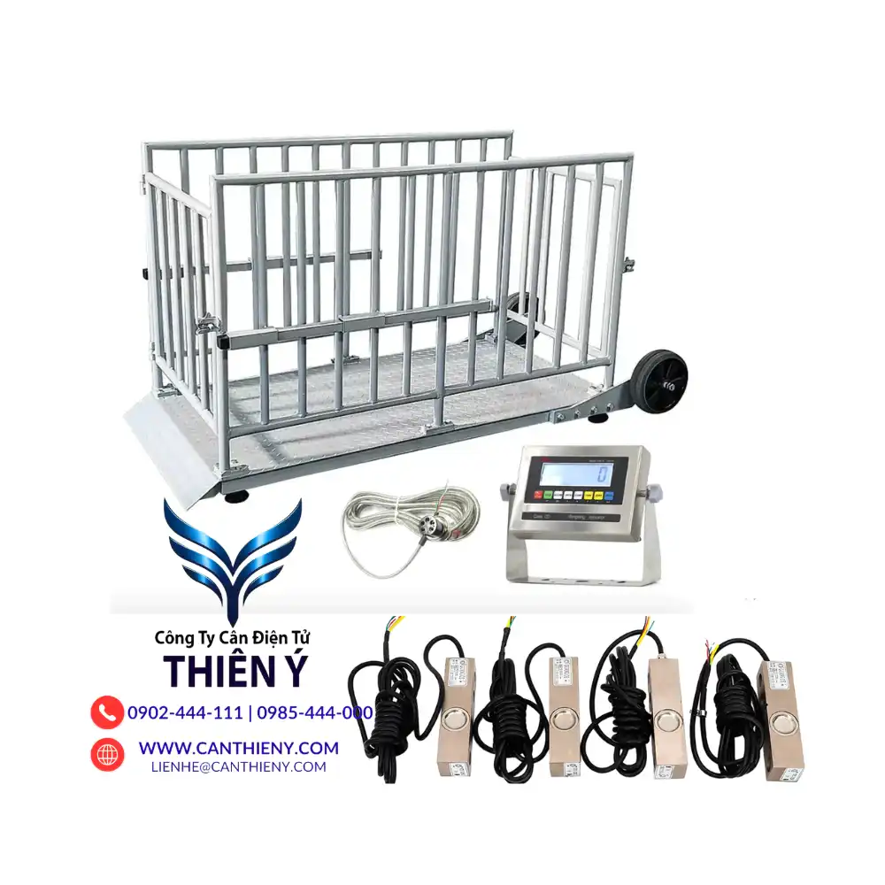 can-dong-vat-chinh-hang-tai-dong-thap-canthieny