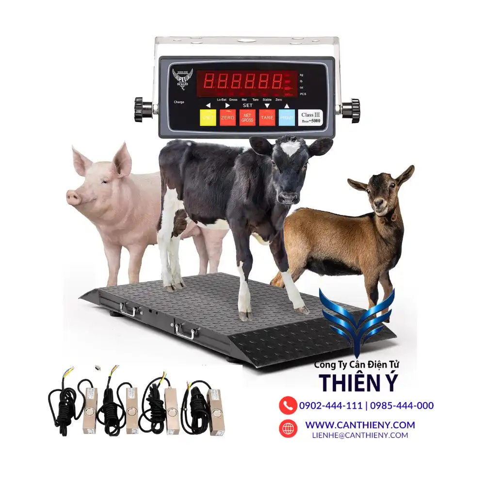 can-dong-vat-chinh-hang-tai-long-an-canthieny