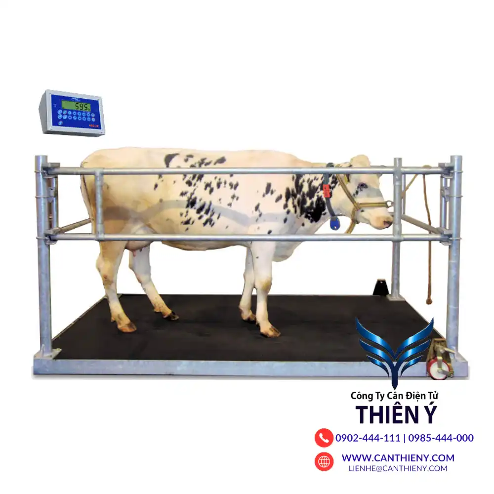 can-dong-vat-chinh-hang-tai-nghe-an-canthieny