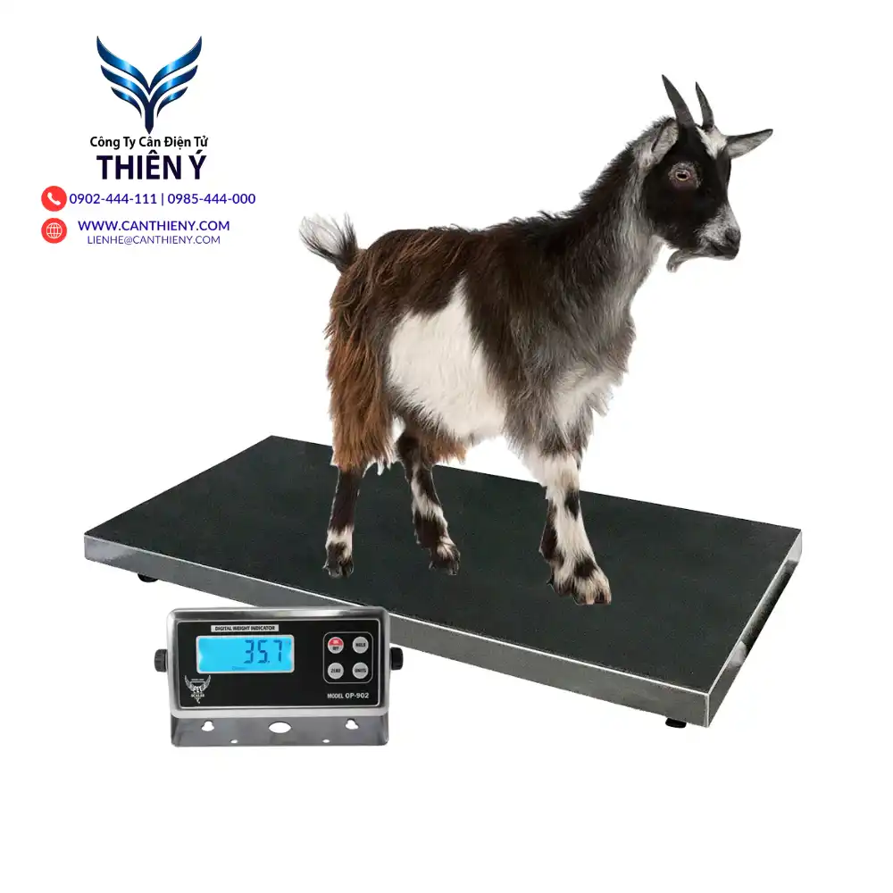 can-dong-vat-gia-re-tai-an-giang-canthieny