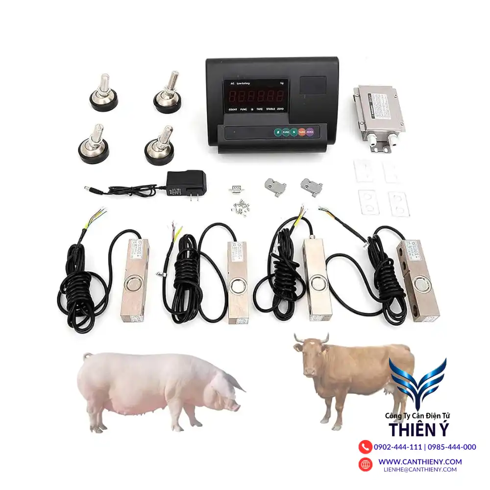 can-dong-vat-gia-re-tai-ba-ria-vung-tau-canthieny