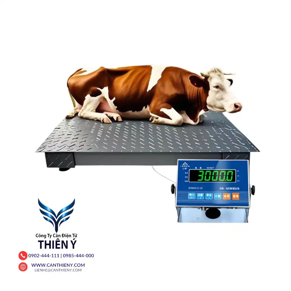 can-dong-vat-gia-re-tai-bac-giang-canthieny