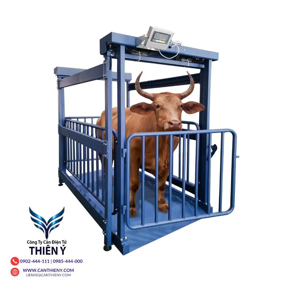 can-dong-vat-gia-re-tai-da-nang-canthieny